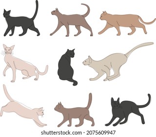 cat set continuous line drawing vector, isolated