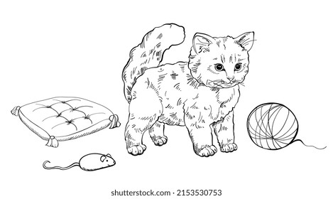 A cat set with cute kittens, soft pillows and accessories for games. Collection of elements of cats' life. Vector illustration of a sketch with a line isolated on a white background. 