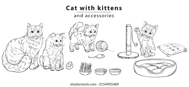 A cat set with cute kittens, soft pillows and accessories for games. 