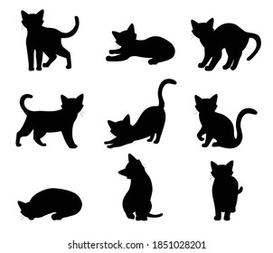 Cat set different poses black silhouette isolated on white background. Vector