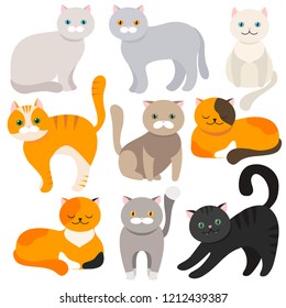 Cat. Set of flat cartoon icons. Vector illustration. Kitty, Pets. Exotic and ordinary cats.