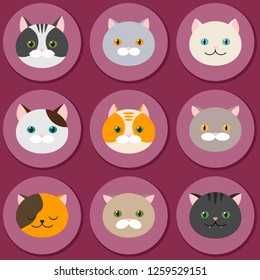 Cat. set of flat feline head icons. Vector illustration. Kitty, Pets. Exotic and ordinary cats. 