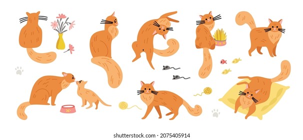 Cat set of isolated images of ginger colored pets with various accessories fish and mouse icons vector illustration