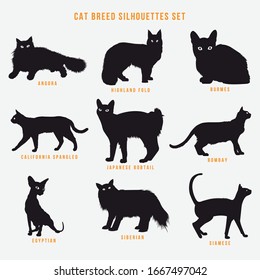 siluetas de gatos vectoriales en fondo blanco