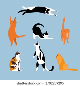 cat. a set of vector isolated illustrations with Pets. cats of different breeds