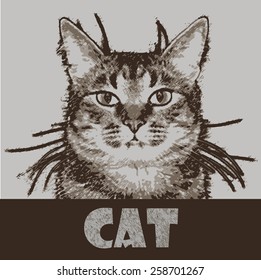 Cat shaded pencil. Vector