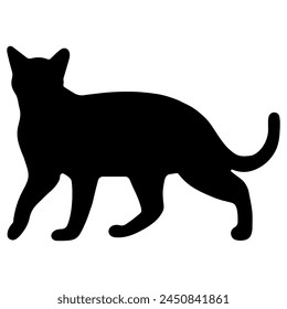 Cat shadow single 3 cute on a white background, vector  illustration.