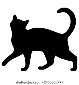 Cat shadow single 38 cute on a white background, vector  illustration.