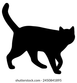 Cat shadow single 40 cute on a white background, vector  illustration.