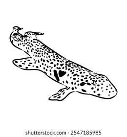 cat shark, vector sketch Vector illustration of a shark in the style