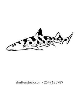 cat shark, vector sketch Vector illustration of a shark in the style