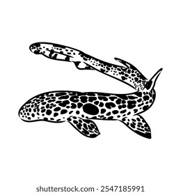 cat shark, vector sketch Vector illustration of a shark in the style