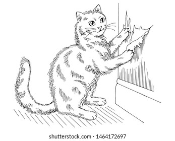 Cat is sharpening claws tearing wallpaper graphic black white sketch illustration vector