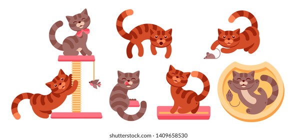 cat sharpens claws on claws, screams, plays with the mouse, flaunts a bow, rests on couch, eats food from a bowl, and poops in the tray