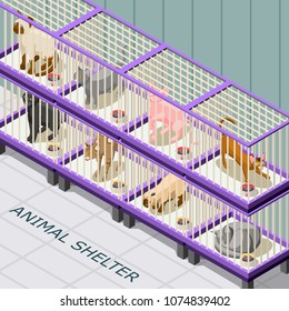 Cat shelter isometric background with animals on various breeds in cages with feed vector illustration