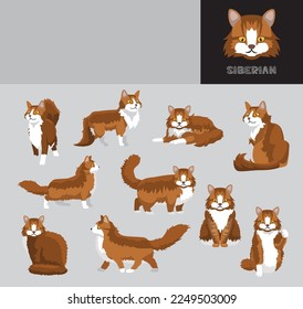 Cat Sibarian Cartoon Vector Illustration Color Variation Set