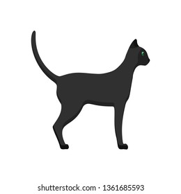 Cat side view vector icon animal cartoon illustration. Black pet isolated tail kitty. Graphic walking flat mammal