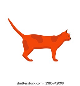 Cat side view vector icon animal cartoon illustration. Redhead pet isolated tail kitty. Graphic walking flat mammal