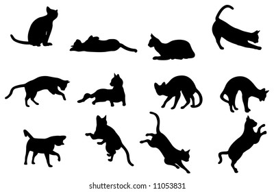 cat silhouette