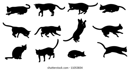 cat silhouette