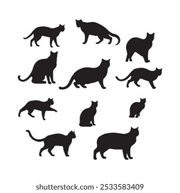 Cat silhouette 2D flat illustration