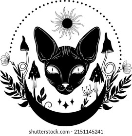 Cat silhouette. Black cat. Mystical cat. Vector illustration.