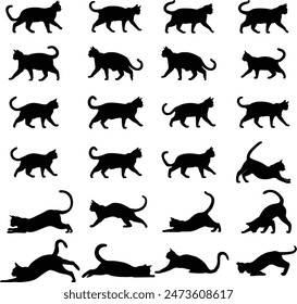 Silueta de gato Vector negro de un gato