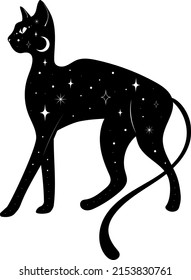 Cat. Cat silhouette. Black cat. Vector illustration.