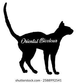 Cat silhouette, Cat, Cat breeds, logo, vector, silhouette, i love my dog, animal, illustration, icon, sign, design, black, symbol, pet, love