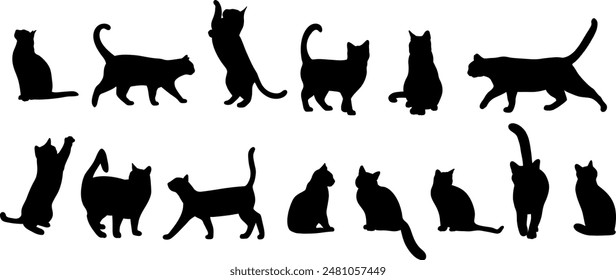 Conjunto de arte de Clip de silueta de gato, Elementos decorativos aislados de gatito, diferentes poses para diseño de logotipo