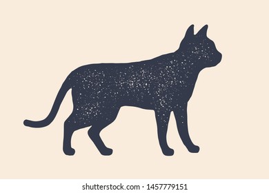 Cat, silhouette. Concept design of domestic animals - Cat or kitten, side view profile. Isolated black silhouette cat or kitten on white background. Vintage print, poster, icon. Vector Illustration