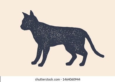 Cat, silhouette. Concept design of domestic animals - Cat or kitten, side view profile. Isolated black silhouette cat or kitten on white background. Vintage retro print, icon. Vector Illustration