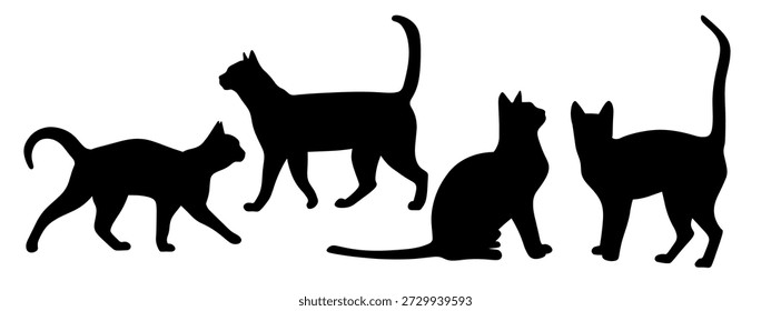 Silhueta de gato, animais bonitos, raças diferentes, animais como logos