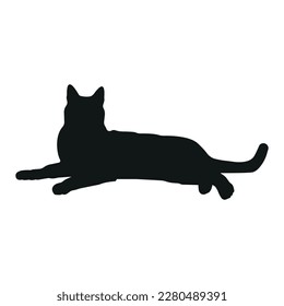 Katzen-Silhouette-Illustration, Lügen, Katzen-Lügen