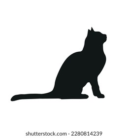 Cat silhouette illustration, sitting cat looks up