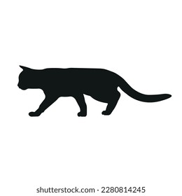 Cat silhouette illustration, walking cat