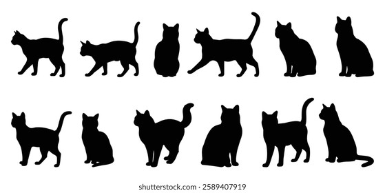 A cat  silhouette illustration with white background