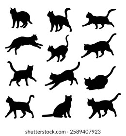 A cat  silhouette illustration with white background