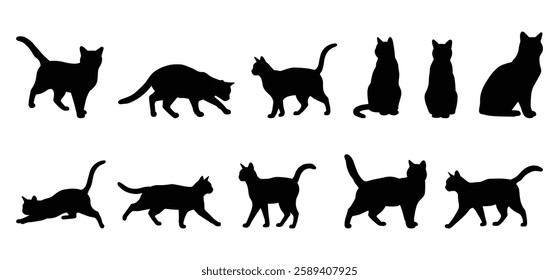 A cat  silhouette illustration with white background