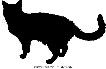 Katzensilhouette. Bild einer Katze. Vektorillustration.
