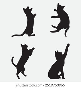 Cat silhouette isolated on white background