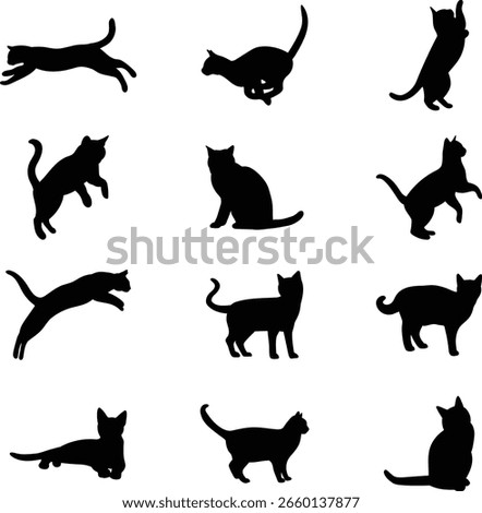 cat silhouette isolated on white