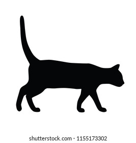 Cat silhouette isolated vector