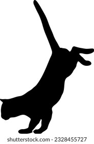 Cat silhouette logo design vector illustration
