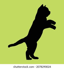 silueta de gato para logotipo o símbolo ,Ilustración vectorial de gato sobre fondo blanco, portador de silueta de gato.