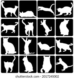 Cat silhouette on black grounds