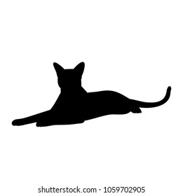  cat silhouette on white background