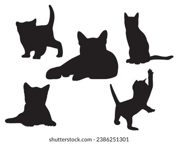 Cat silhouette on white background