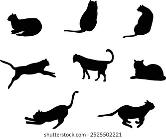 cat silhouette. set of cat silhouette with different movement or poses isolated on white background.	
