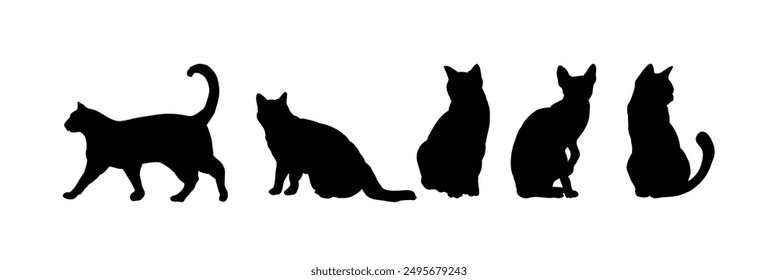 set de silueta de gato - Vector icon
	